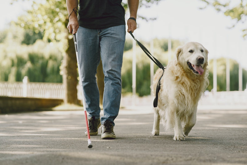 Breaking the Stigma: Living with Disabilities