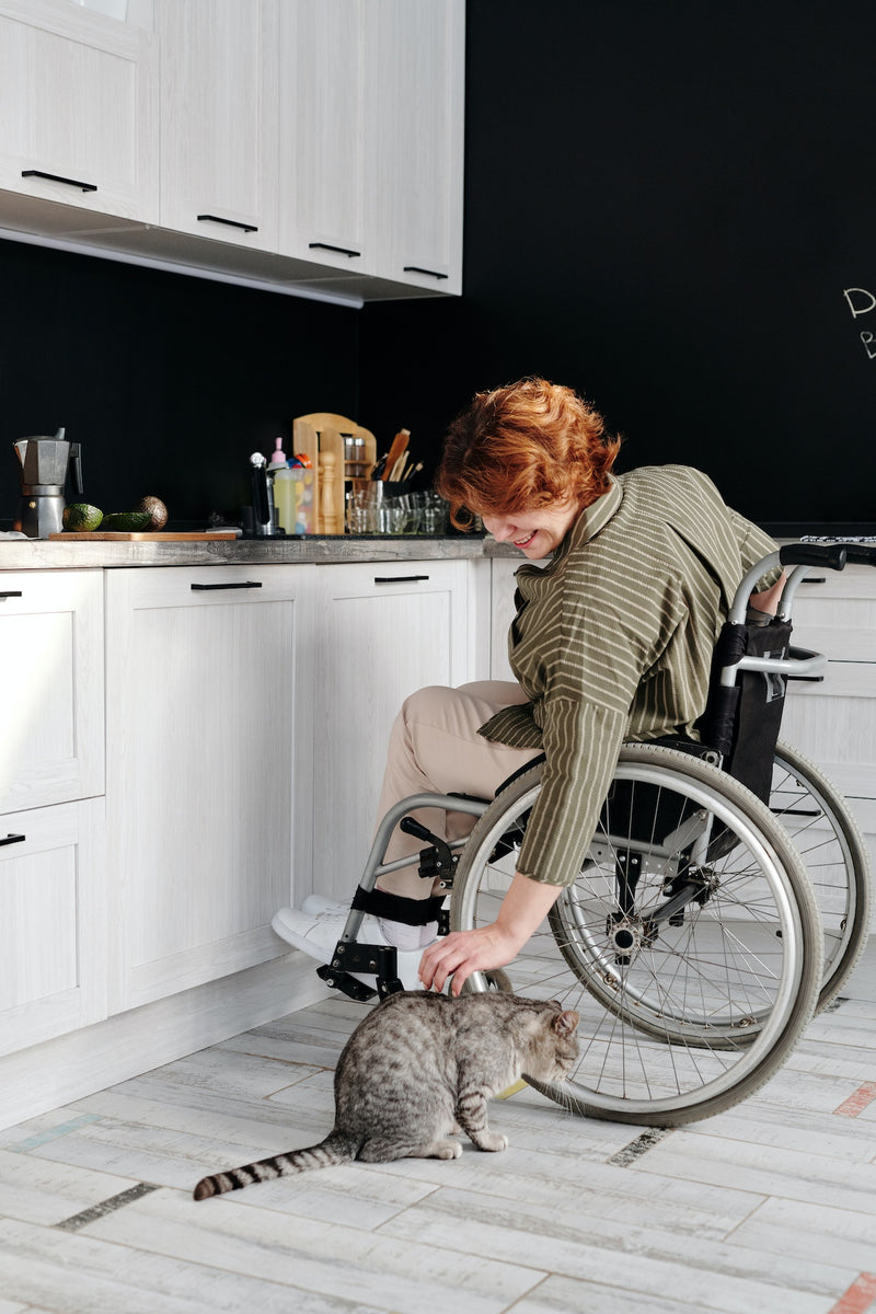 Designing for All: Universal Design and Assistive Technology