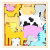 Colorful 3D Wooden Tangram Puzzle for Kids