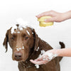 Soft Silicone Pet Bath Massage Gloves for Dogs and Cats