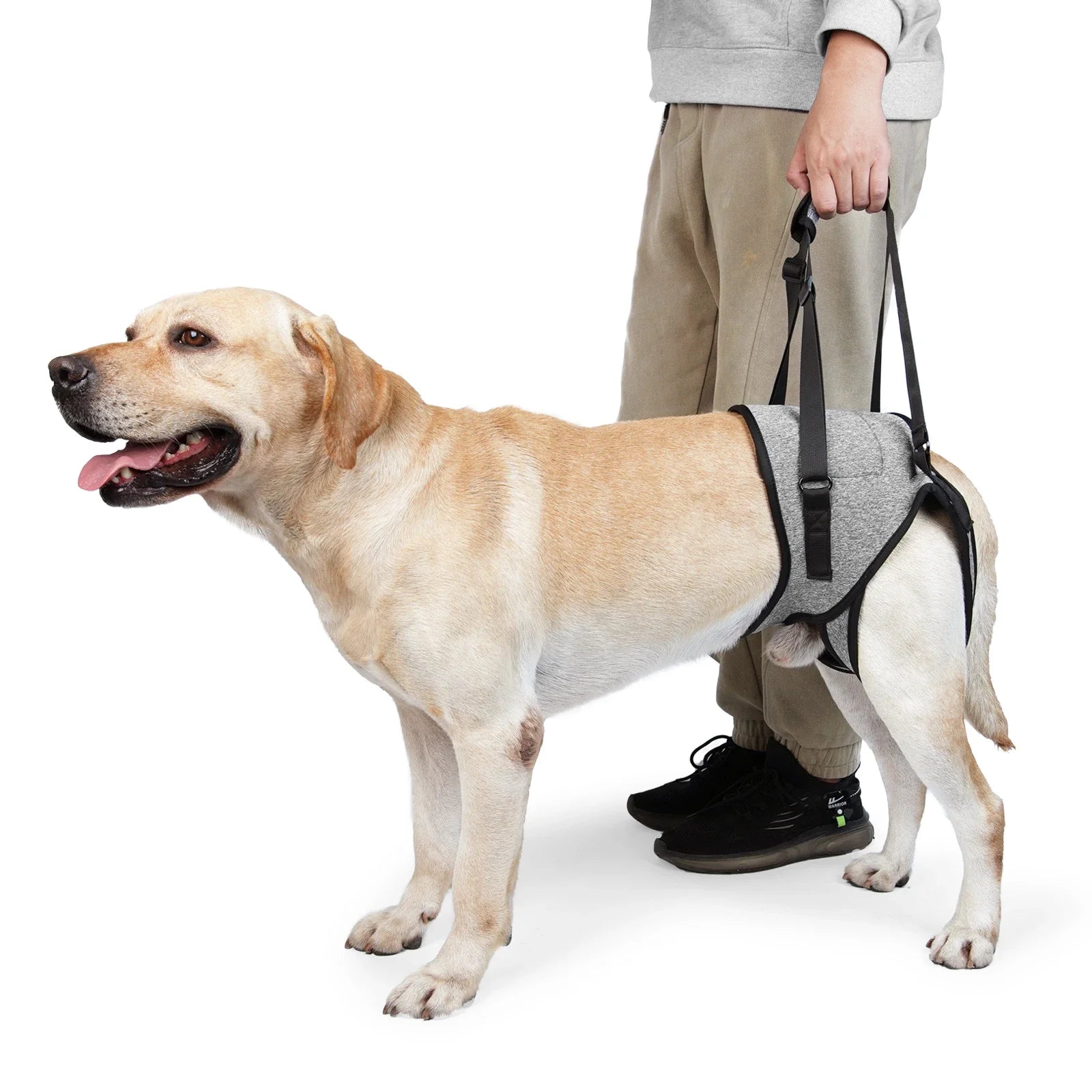 Padded Dog Harness Support Brace for Leg Injury - Gray