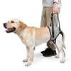 Padded Dog Harness Support Brace for Leg Injury - Gray
