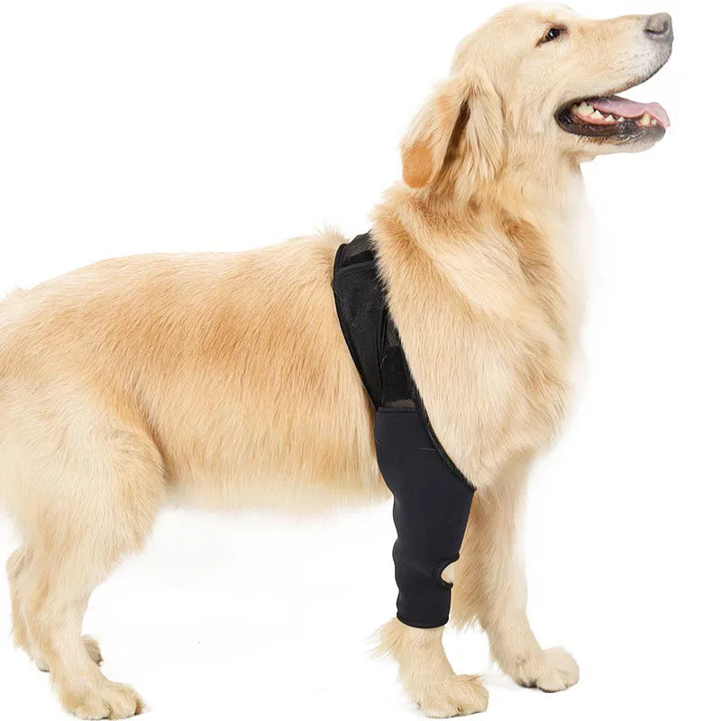 Adjustable Pet Knee Pads for Joint Recovery
