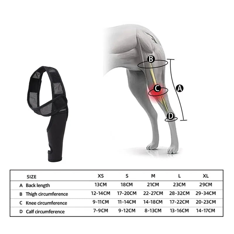 Adjustable Pet Knee Pads for Joint Recovery