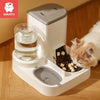 Kimpets Large Capacity Automatic Pet Feeder & Water Dispenser