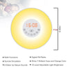 Sunrise/Sunset Simulation Alarm Clock with FM Radio