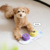 Voice Recording Dog Buttons for Training and Communication