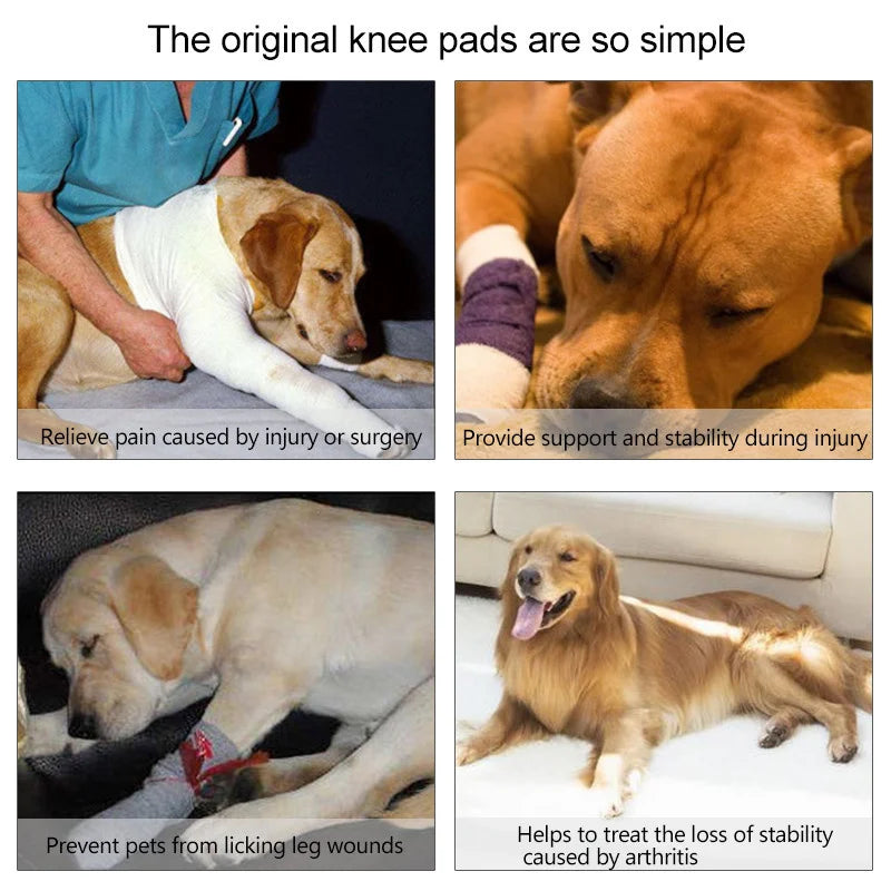 Dog Knee Brace for Pet Injuries: Joint Protection Bandage
