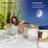 Sunrise/Sunset Simulation Alarm Clock with FM Radio