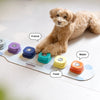 Voice Recording Dog Buttons for Training and Communication
