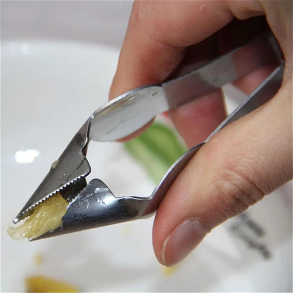 Stainless Steel Fruit Peeler and Corer Set