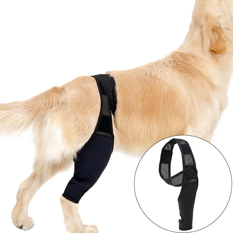 Adjustable Pet Knee Pads for Joint Recovery