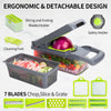 10 in 1 Fruit & Vegetable Cutter/Slicer/Mandolin/Shredder