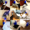 Pet Grooming Combo: Cat Scratcher Massager and Hair Removal Brush