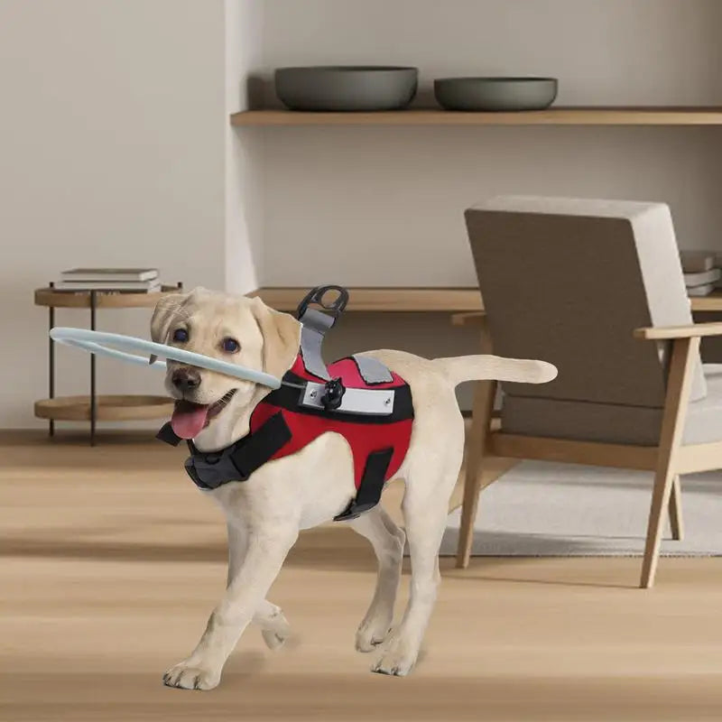 Blind Dog Halo Harness - Guiding Device for Visually Impaired Pets