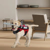 Load image into Gallery viewer, Blind Dog Halo Harness - Guiding Device for Visually Impaired Pets