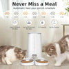 ROJECO Automatic Cat Feeder with Remote Control and WiFi