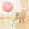 Self-Rolling Smart Cat Toy for Interactive Training