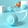 Interactive Electric Cat Ball Toy for Indoor Play - Smart Blue Ball