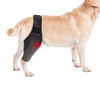 Adjustable Pet Knee Pads for Joint Recovery