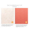 IMAGIC Professional Makeup Sponge Puff for Foundation Beauty