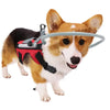 Blind Dog Halo Harness - Guiding Device for Visually Impaired Pets - Red