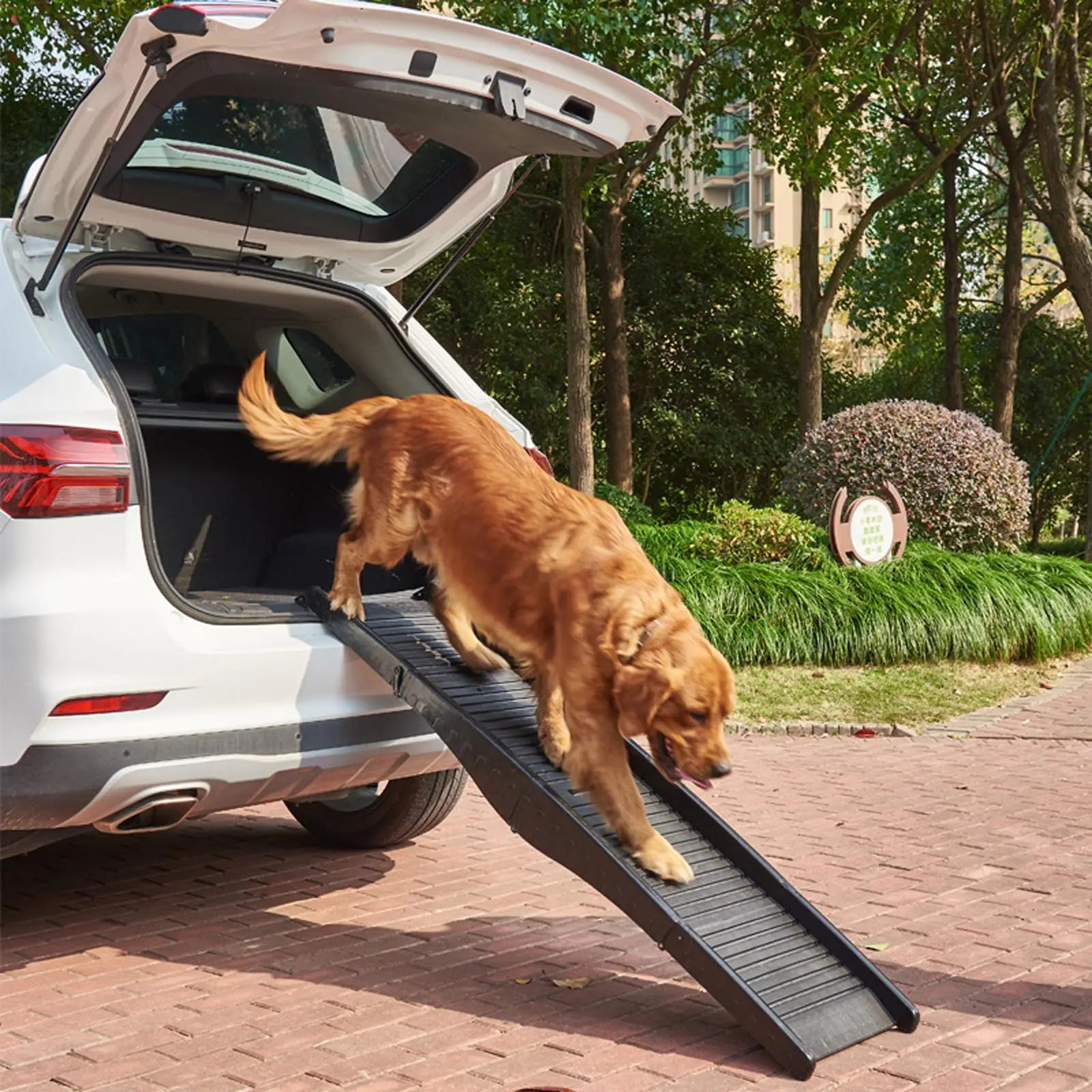 Folding Dog Ramp - Non-Slip Pet Ladder for Indoor and Outdoor Use
