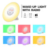 Sunrise/Sunset Simulation Alarm Clock with FM Radio