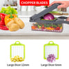 10 in 1 Fruit & Vegetable Cutter/Slicer/Mandolin/Shredder
