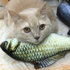 Plush Cat Toy Simulation Fish