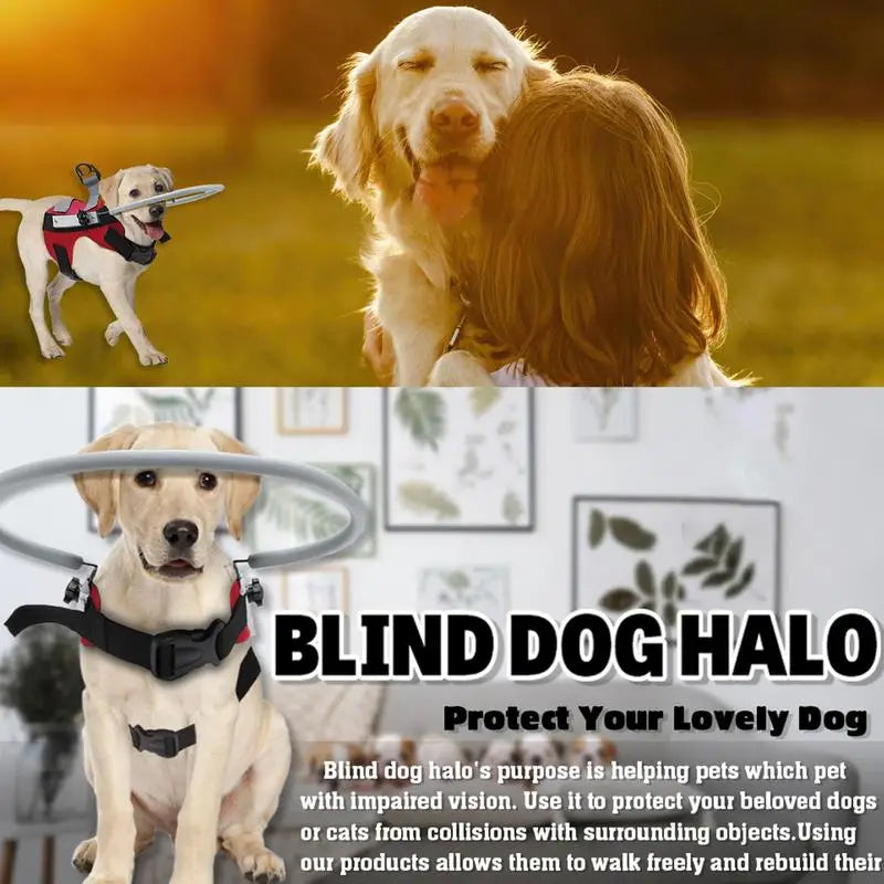 Blind Dog Halo Harness - Guiding Device for Visually Impaired Pets