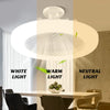 Remote-Controlled LED Ceiling Fan with Light