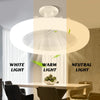 Remote-Controlled LED Ceiling Fan with Light