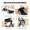 Padded Dog Harness Support Brace for Leg Injury