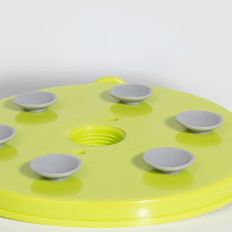 Pet Slow Food Bowl - Non-Slip Lick Plate Dog Feeder